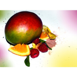 12x FRE-PRO Eco Air 2.0 Lufterfrischer Mango – Raumerfrischer Duftspender