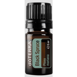 doTERRA Black Spruce (Schwarzfichte) 5 ml